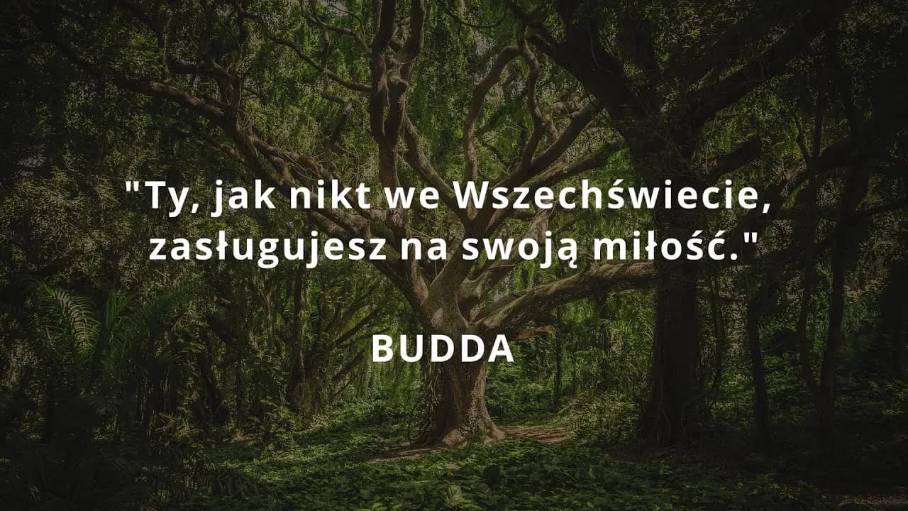 Cytaty jaka jestem: Inspirujące słowa o akceptacji siebie Cytaty jaka jestem: Inspirujące słowa o akceptacji siebie