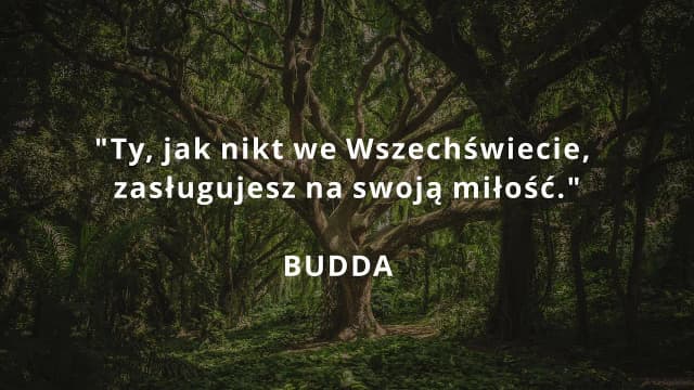 Cytaty jaka jestem: Inspirujące słowa o akceptacji siebie Cytaty jaka jestem: Inspirujące słowa o akceptacji siebie