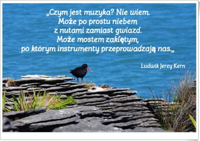 Muzyka w cytatach: Inspirujące słowa o dźwiękach duszy Muzyka w cytatach: Inspirujące słowa o dźwiękach duszy