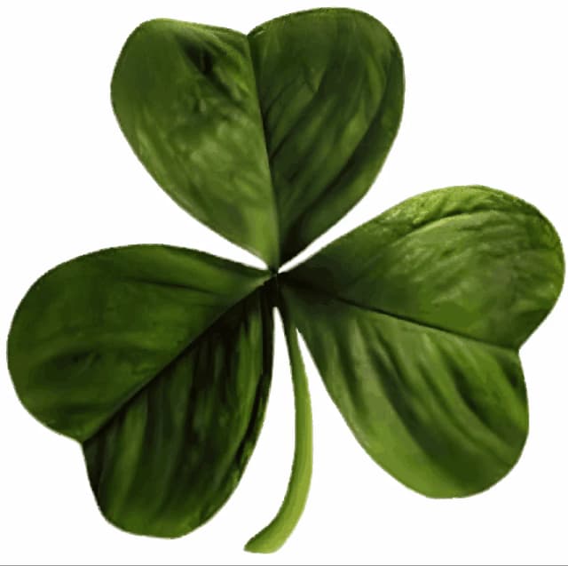 Szamrok jako symbol Irlandii: Historia, znaczenie i ciekawostki Szamrok jako symbol Irlandii: Historia, znaczenie i ciekawostki
