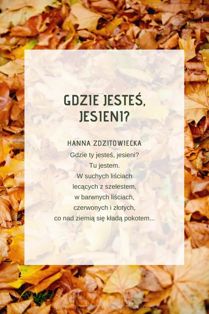 Wiersze o jesieni: piękne utwory, które poruszą Twoje serce Wiersze o jesieni: piękne utwory, które poruszą Twoje serce