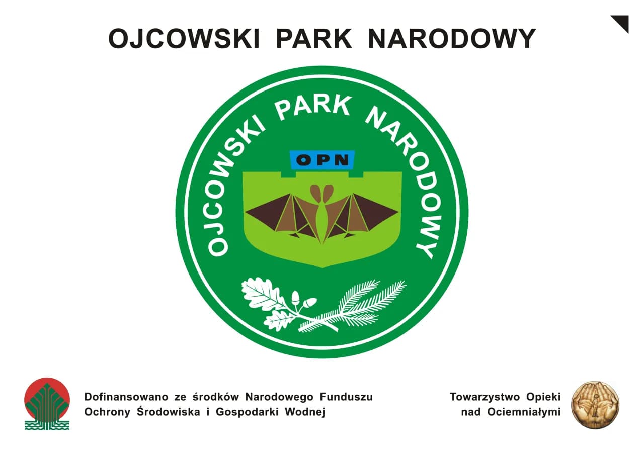 Symbol Ojcowskiego Parku Narodowego: Fascynujący świat nietoperzy Symbol Ojcowskiego Parku Narodowego: Fascynujący świat nietoperzy